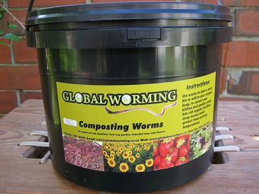 Compost worms for sale