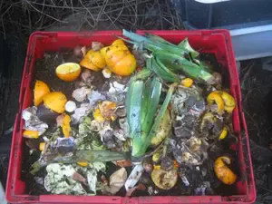 A worm bin with lots of kitchen waste as worm food