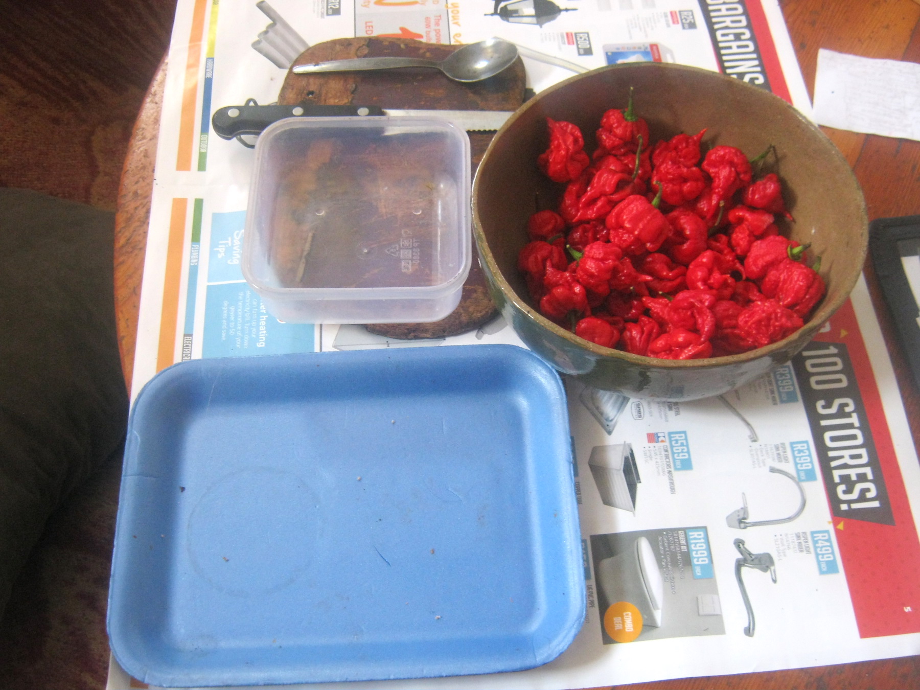 Ripe Carolina Reaper chilis and tools for seed harvesting on a table