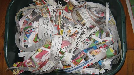 Torn newspaper for starting-a- worm-farm