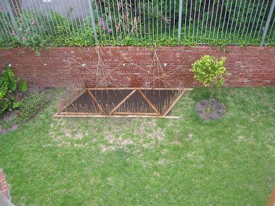 Carolines square foot garden after the application of worm castings and the placing of planks.