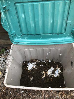 Opened bin with worm marks?