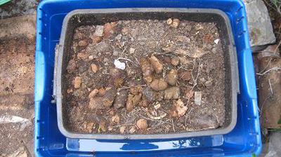 Worm farm island! Prevents ants from entering a worm bin!