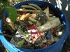 Kitchen waste in Carolina Reaper pot