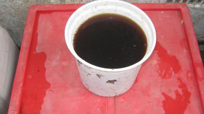 Bucket with worm tea