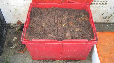 Dog poop worm bin with open lid