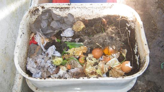 A worm farm with food and worms in the middle bin.
