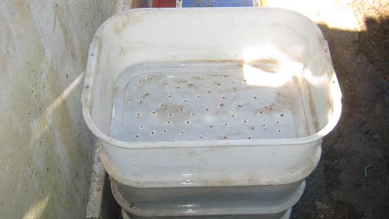 The worm farm after the harvest of worm castings.