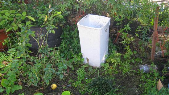 A low cost worm farm standing under a tree.