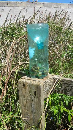 A finished fly trap in the garden.