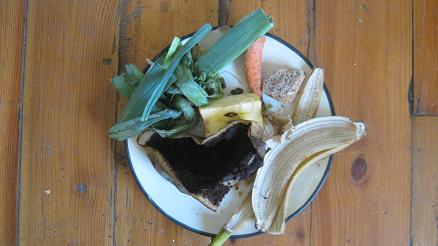 Many kitchen scraps make good worm food.