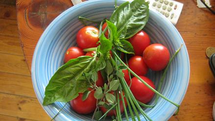 Schmackhafte Bio-Tomaten und Basilikum aus unserem Garten.