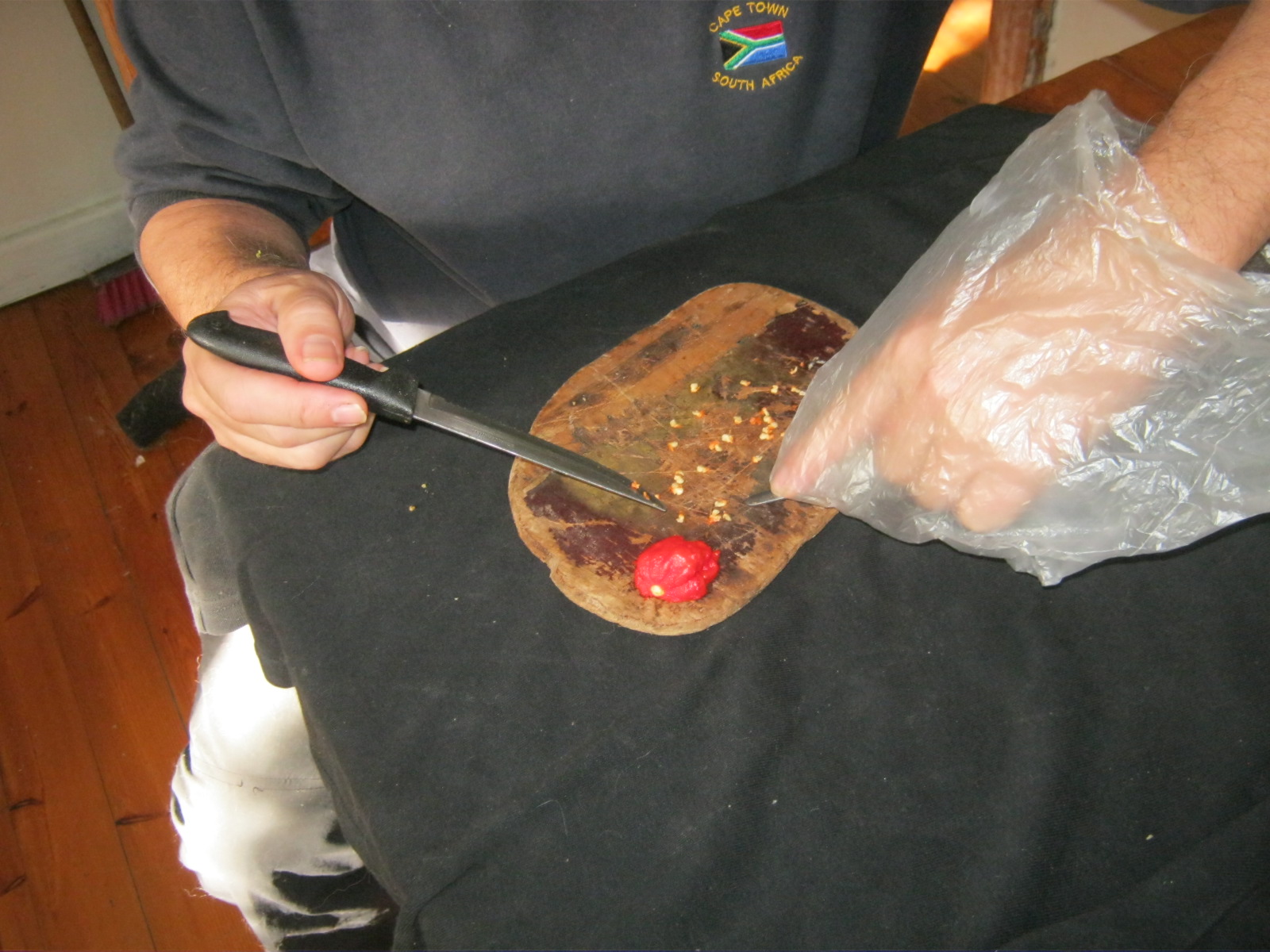 Preparing fresh Carolina Reaper seeds for planting