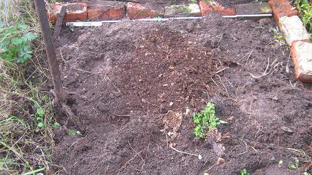 This small piece of soil was prepared to be used for my vegetable garden.