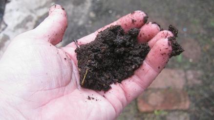 A handful of healthy soil consists of 10 billion living organisms