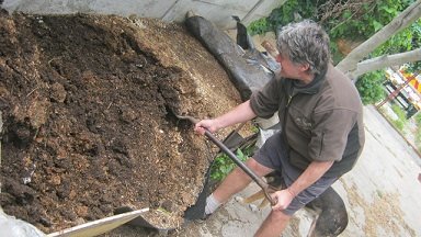 The author of the book "How to start a profitable worm business on a shoestring budget" harvesting worms from a bulk bed