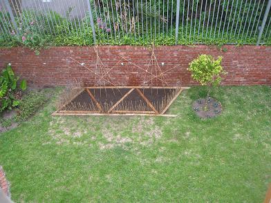 A piece of ground prepared for tomato plants.