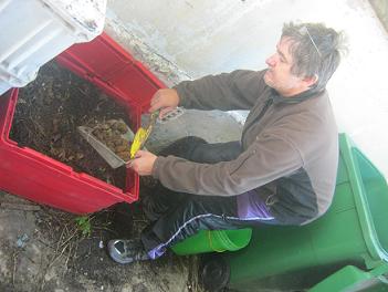 Dog poop added to a worm bin