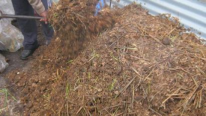 Compost pile