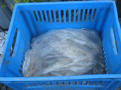 A breeder bin for compost worms