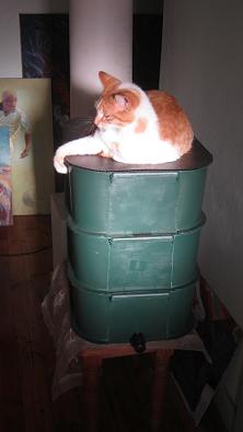 My cat Twenty enjoying herself on a 3 tier worm farm consisting of 3 bins, a tap, and a lid.