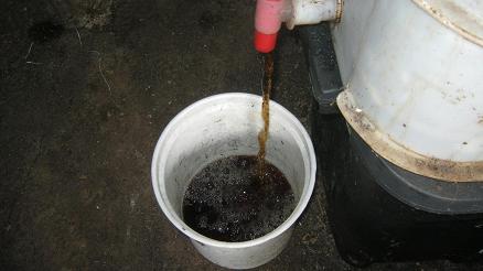 Worm tea / liquidized worm castings are collected in a bucket