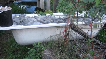 Bath tub worm farm