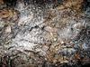 Powdered egg shells sprinkled on the surface of a worm bin help to balance the pH of the worm bedding