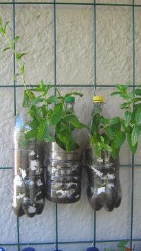 Recycled bottles with herbs hanging on a trellis.