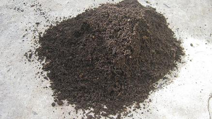 A pile of freshly harvested worm castings is a great natural soil conditioner