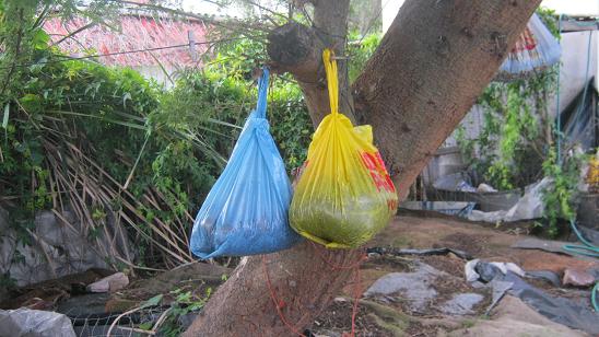 The probably cheapest worm farms in the world