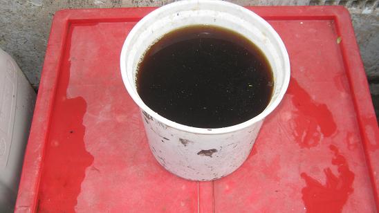 A bucket of fresh worm tea can be used as plant food and as a natural pesticide.